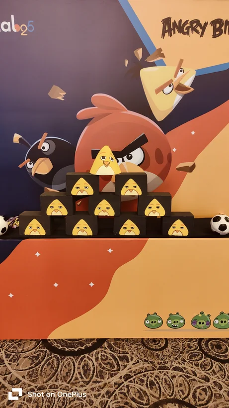 Angry Bird game target wall prepared for guests at a Gurgaon celebration