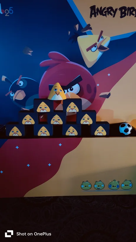 Angry Bird target blocks arranged on a themed backdrop for a Gurgaon party