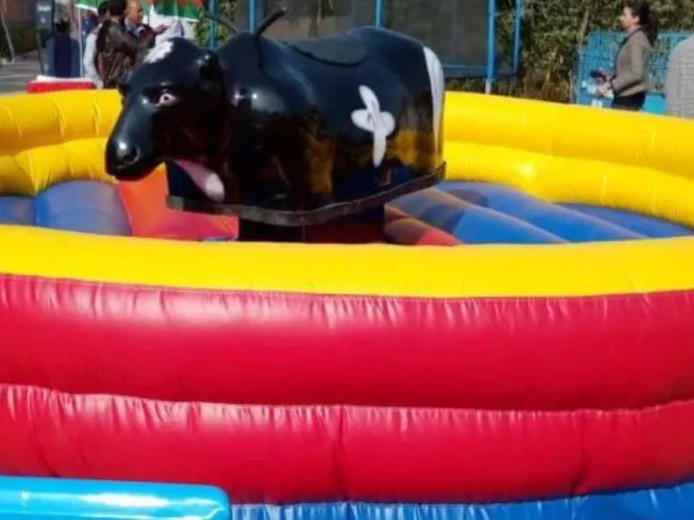 Guests enjoying bull ride game during a Goa celebration