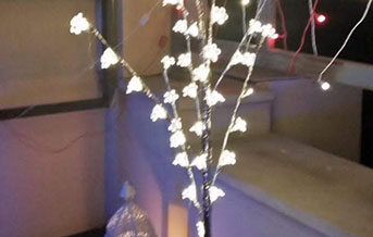 Diwali party planners in gurgaon, Diwali party planners in Delhi, Diwali party planners in Noida, Diwali party decorators in gurgaon, Diwali party decorators in Delhi, Diwali party decorators in Noida